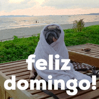 Happy Sunday GIF by Sealed With A GIF