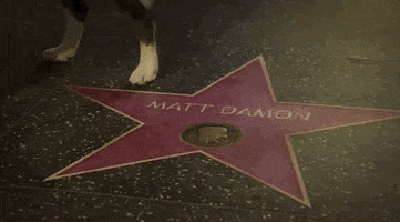 Oscars 2024 GIF. We see Matt Damon's Hollywood Star and a dog leg lifted above it. The camera pans out suddenly and we see Messi, the dog from Anatomy of a Fall, taking a quick whizz on Damon's star. He looks to be without remorse and runs away quickly after the job is done.