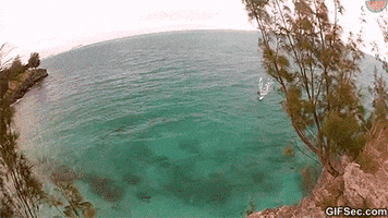 dive windsurfing GIF
