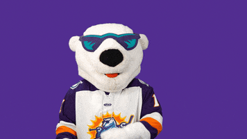 Hockey Mascot GIF by Orlando Solar Bears