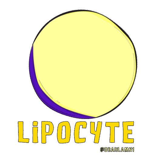 Medical Sticker