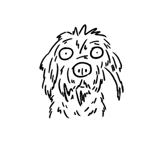 Confused Puppy GIF by butpoorlydrawn