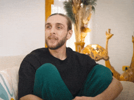 Wtf GIF