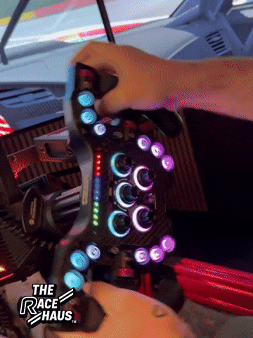 Sim Racing GIF by The Race Haus