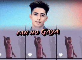 Fan Ho Gaya GIF