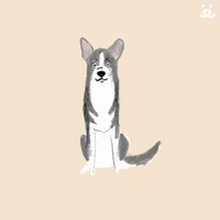 animated dogs that move