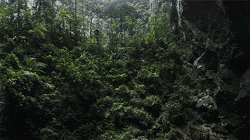 drone cave GIF by Digg