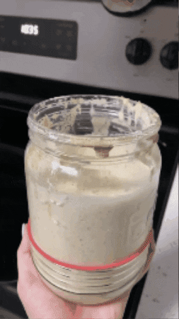 Active Sourdough Starter GIF