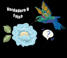 Cucuyo GIF
