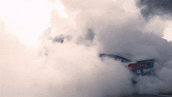 Kyle Larson Celebration GIF by NASCAR