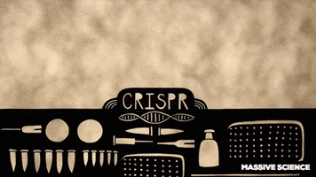 stop motion walking GIF by Massive Science