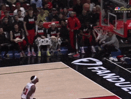 Chicago Bulls Nba GIF