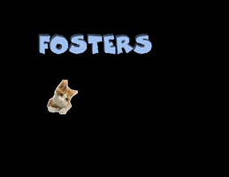 Fosters Animal Rescue GIF by Heartland Animal Shelter