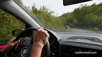 Montenegro GIF