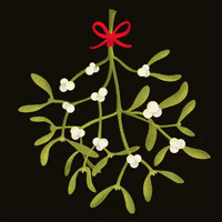 200.gif?cid=fc005b08424de8bf468f8b30d7b1f555c0ad024c23d2da8d&rid=200.gif&ct=g