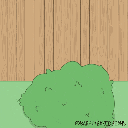 Middle Finger GIF
