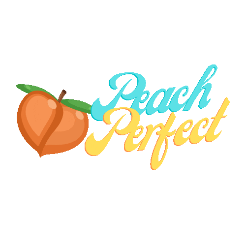 Barre STL Sticker