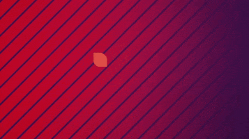 Festival Country Lotbinière GIF