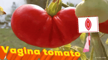 Tomato Jh GIF