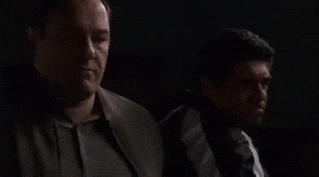 Flashing The Sopranos GIF