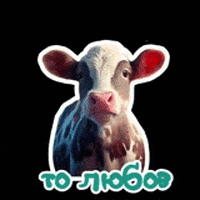 Milk Cow GIF by ABM TRADE