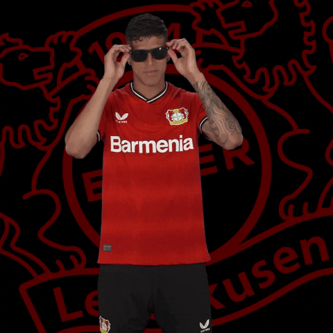 Whats Up What GIF by Bayer 04 Leverkusen