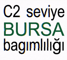 Bursa GIF