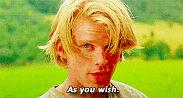 princess bride as you wish