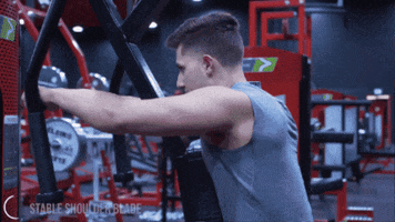 Animated GIF