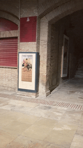 European Union Travel GIF