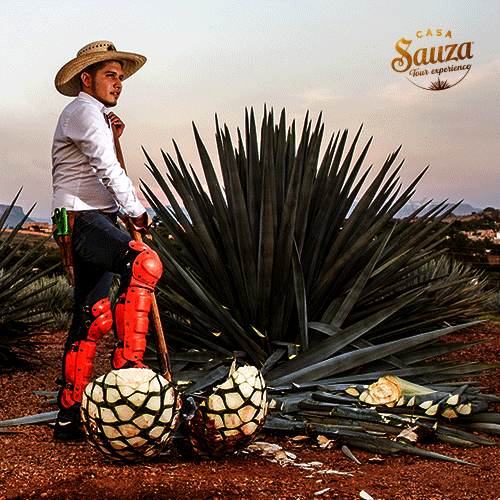 Ano Nuevo Tequila GIF by Casa Sauza
