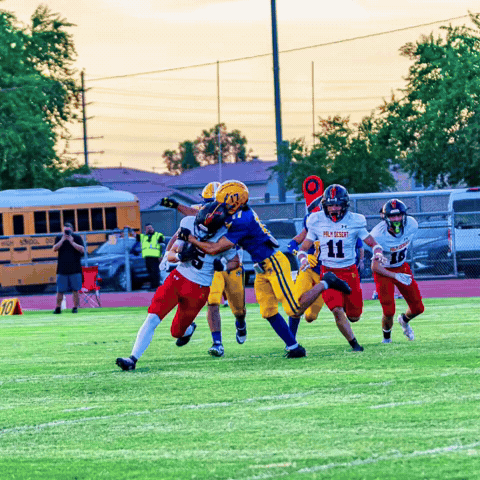Brawleyunion GIF by brawleywildcat