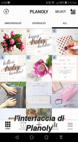 silvia_thequietcoach instagram planoly socialmediabiondina GIF