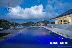 Swimming Pool Love GIF by Casol