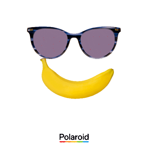 Sunglasses Smile Sticker by Polaroid Eyewear