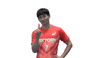 Vixtorm Sticker