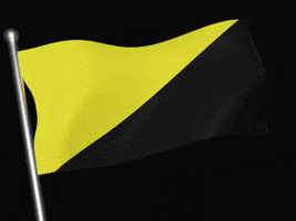 Ancap GIF