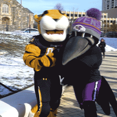 Happy Baltimore Ravens GIF by Towson University