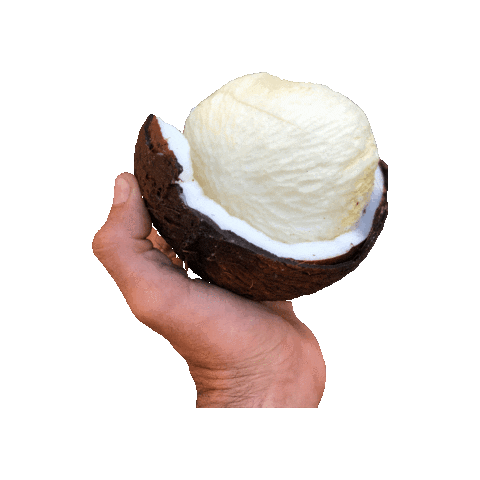 Tropical Fruit Florida Sticker by Miami Fruit