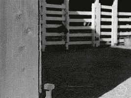 Black And White Vintage GIF by Okkult Motion Pictures