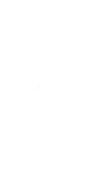 Bachata Sensual Sticker by Viva La Bachata