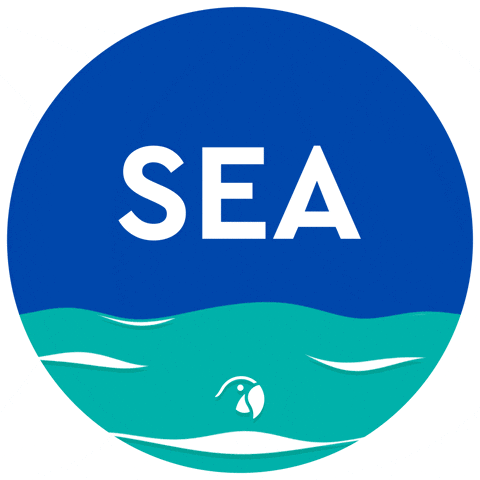 See You Soon GIF by ROBINSON – Share the moment