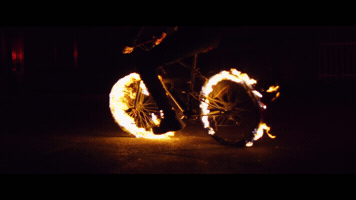 noelburgundy  GIF