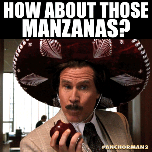 Ron Burgundy Sombrero GIF by Anchorman Movie Find & Share on GIPHY