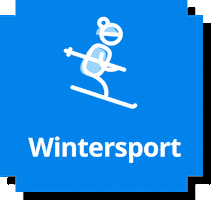 Weeronline animation wintersport winter sports weeronline GIF