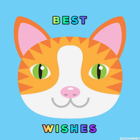 Best Wishes Good Luck GIF by PEEKASSO