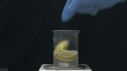 chemical reaction