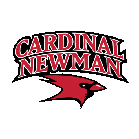 Cardinals Cards Sticker by Cardinal Newman School