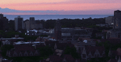 chicago maroons campus GIF by The University of Chicago