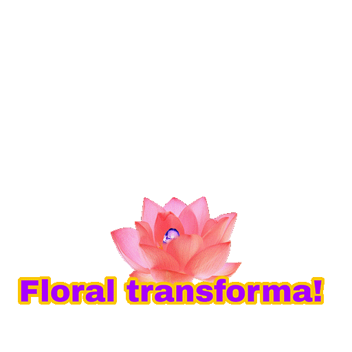 Lauren Severo Sticker